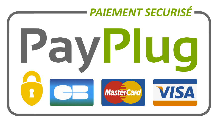 Logopayplug